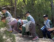 把童年还给山野，把成长交还自然 ——博苑君逸幼儿园“徒步山野”自然教育活动纪实