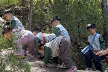 把童年还给山野，把成长交还自然 ——博苑君逸幼儿园“徒步山野”自然教育活动纪实